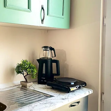 Historical Flat Close To Istiklal Avenue